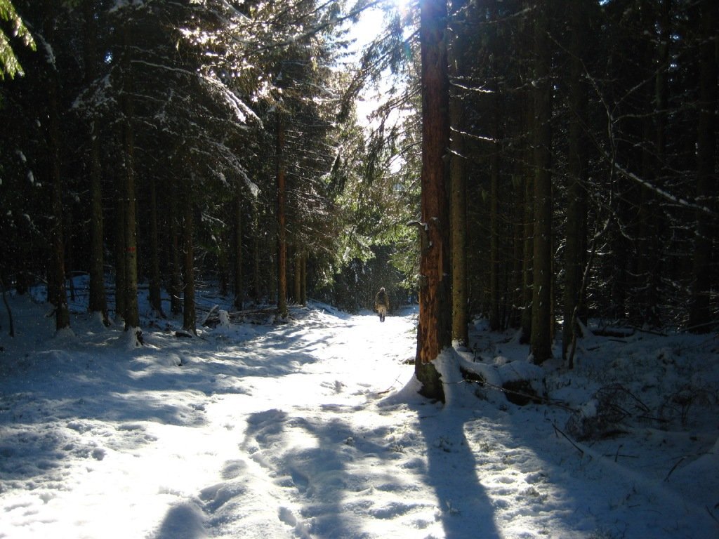 Skiløypa mellom Mikkelsbonn og Rudsmyr