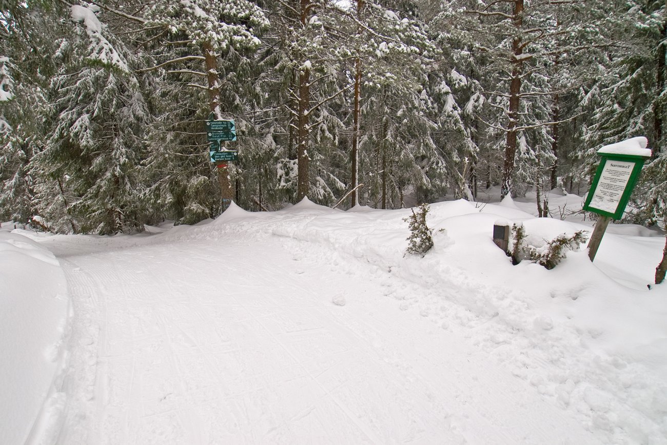 Skiløypen forbi Skriverberget