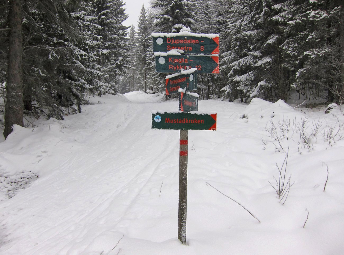 Skiltet, men ikke preparert