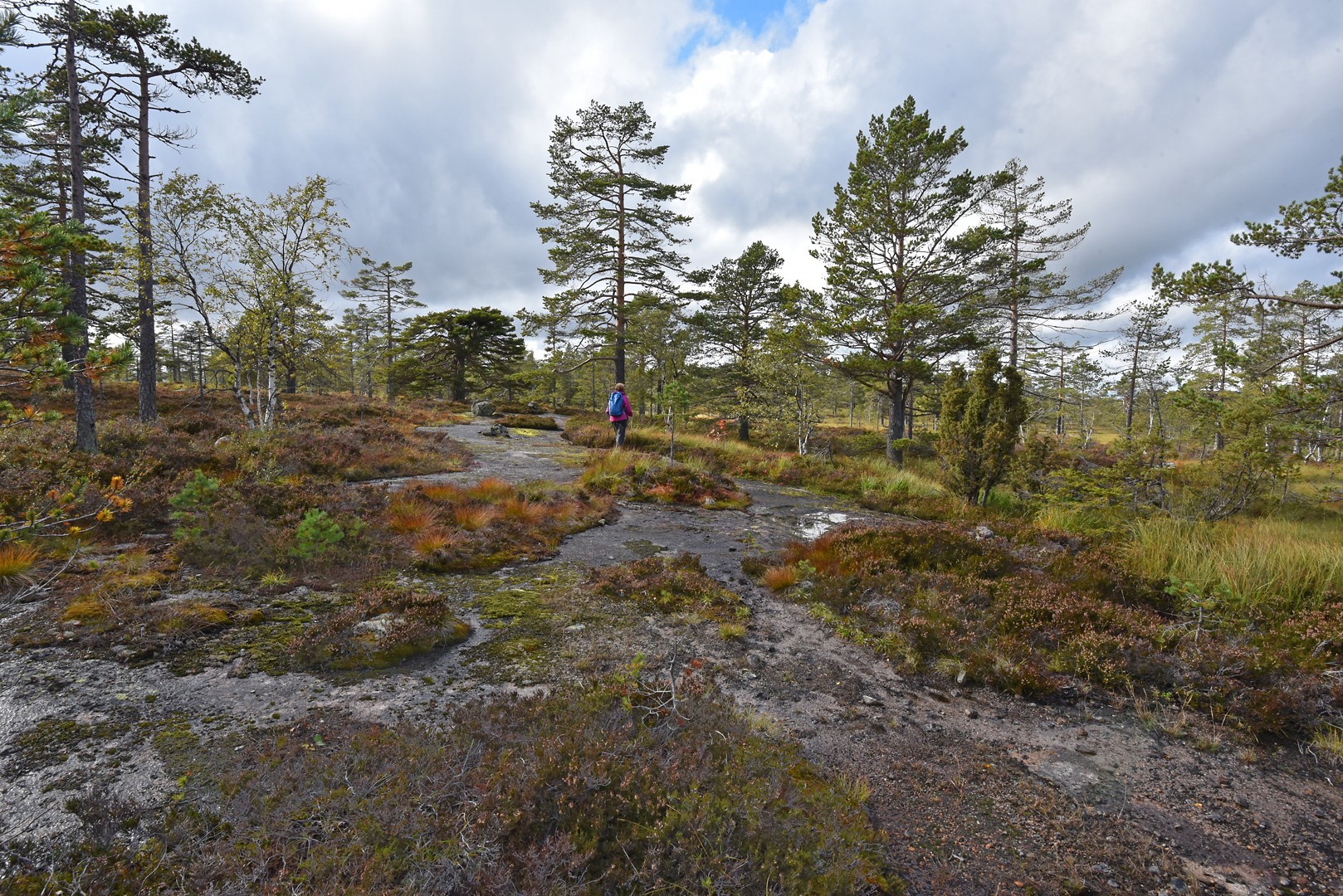 Skimtplatået i et nøtteskall