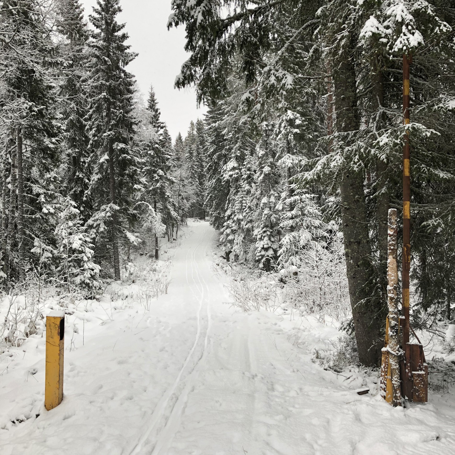 Skimuligheter fra Langtjern