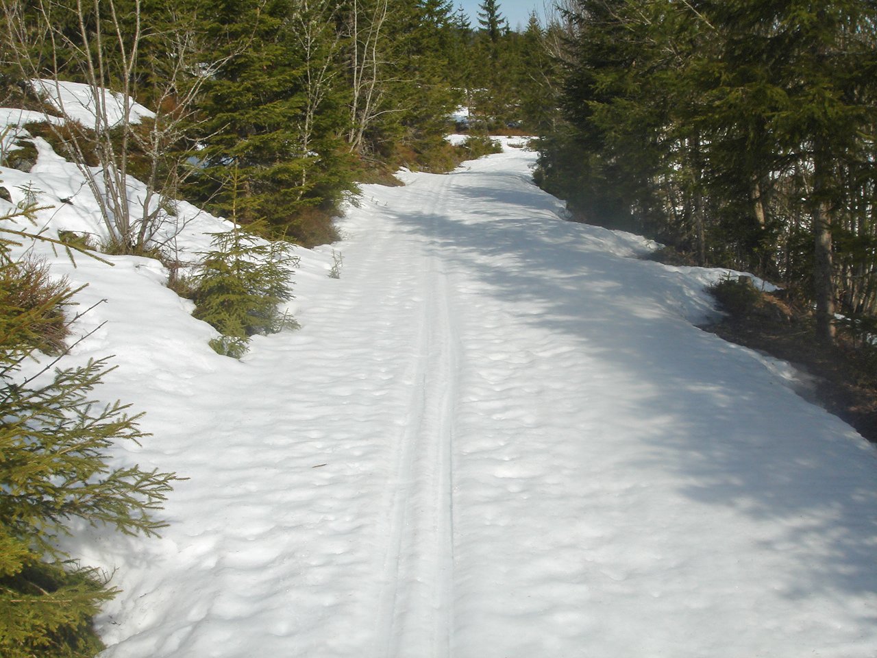 Skimuligheter vest for Ølja