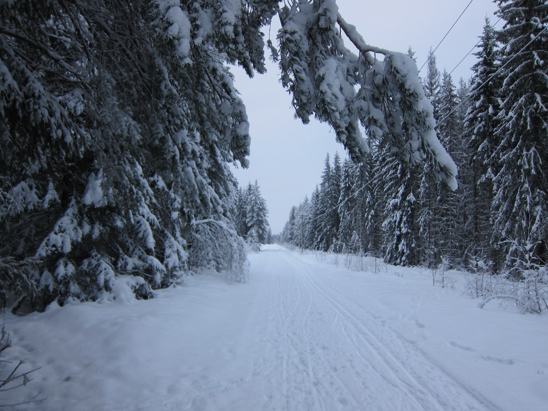 Skispor der hestejernbanen gikk
