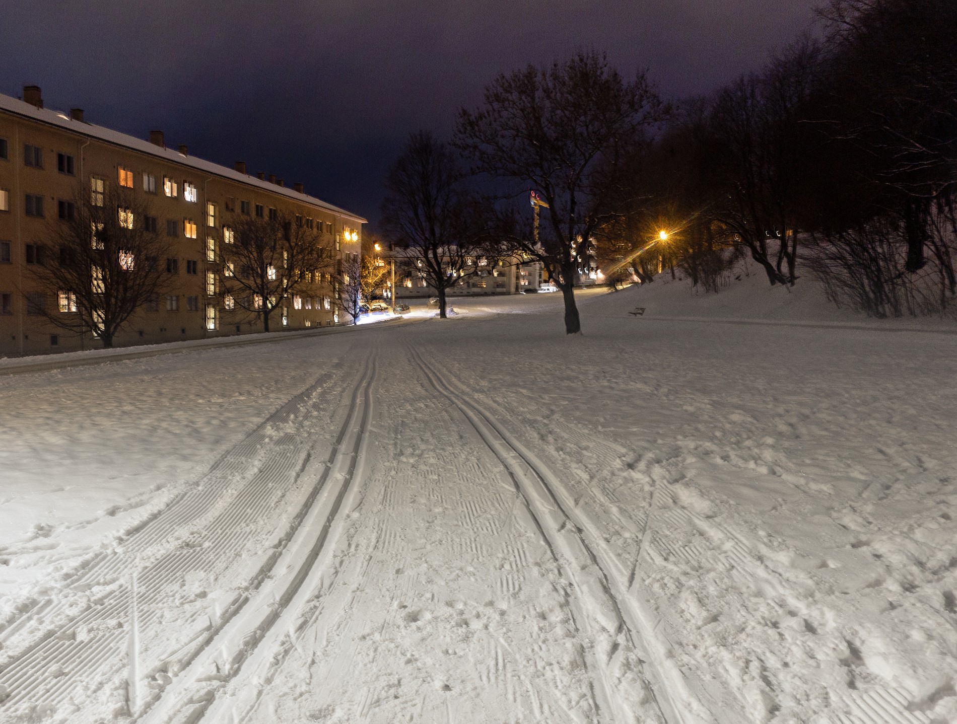 Skispor i Tøyenparken