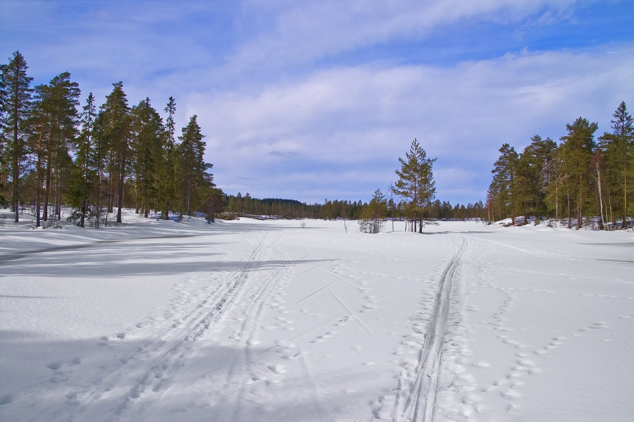 Skispor på Buvannet