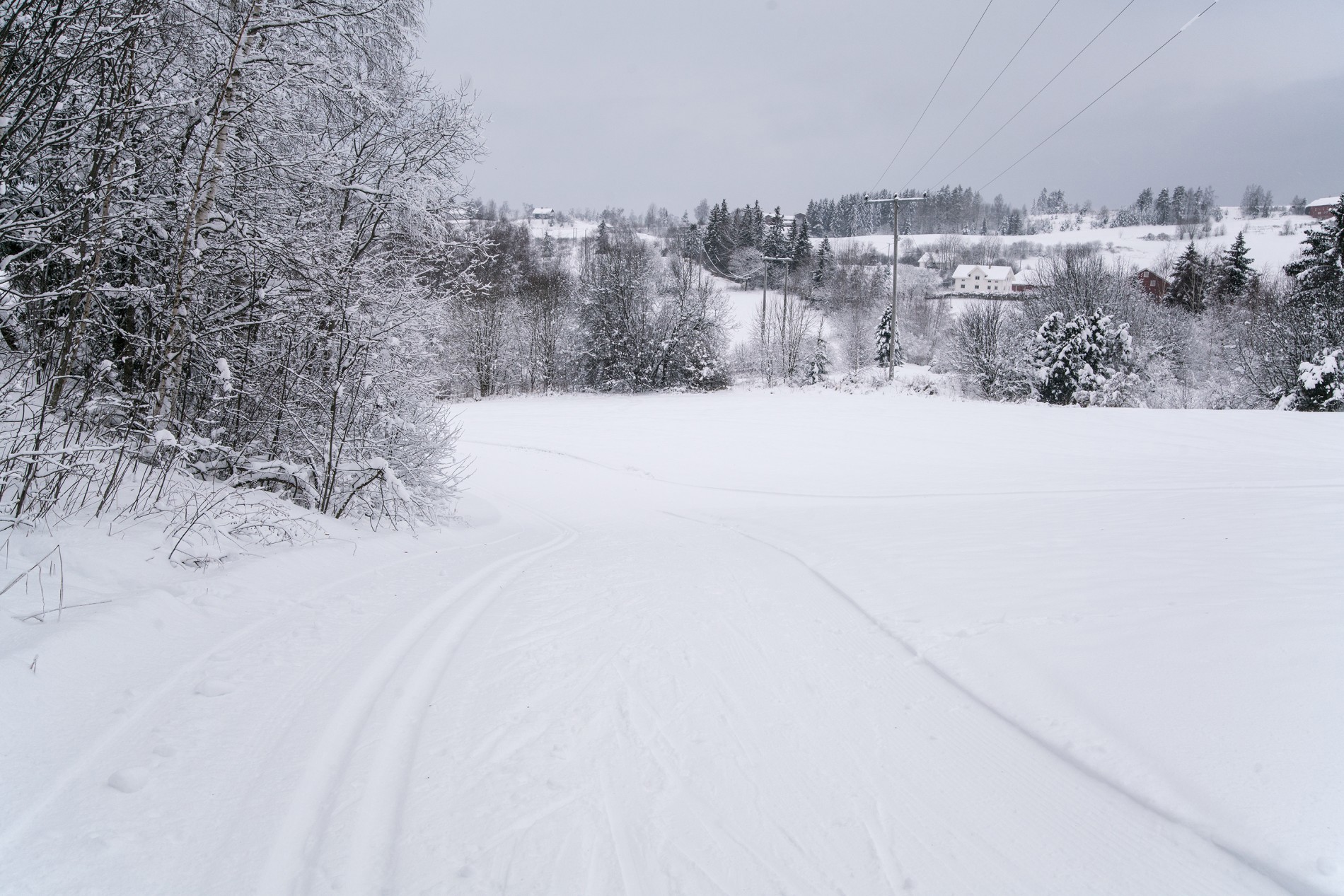 Skispor til Markafeltet