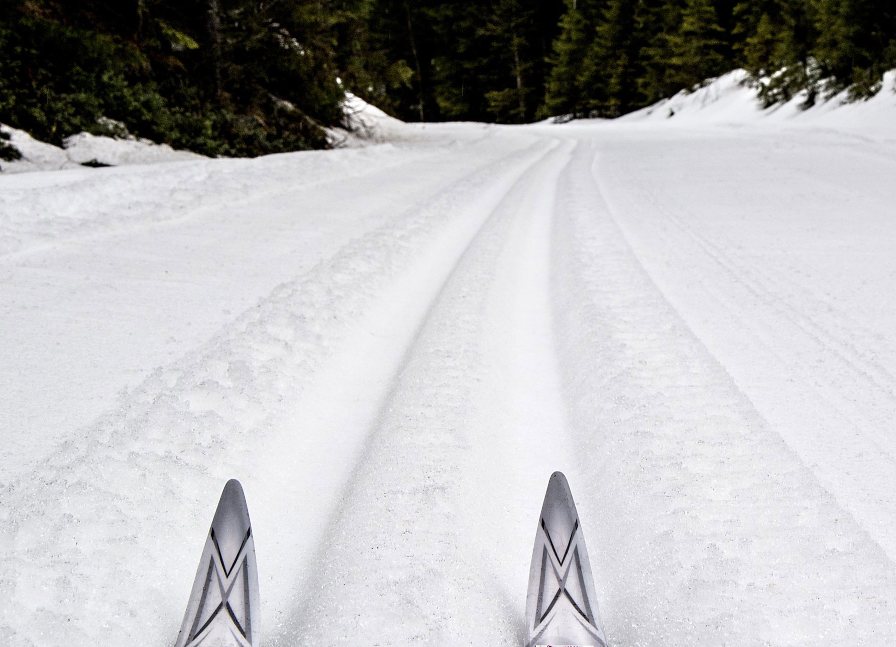 Skitupper og nykjørte spor
