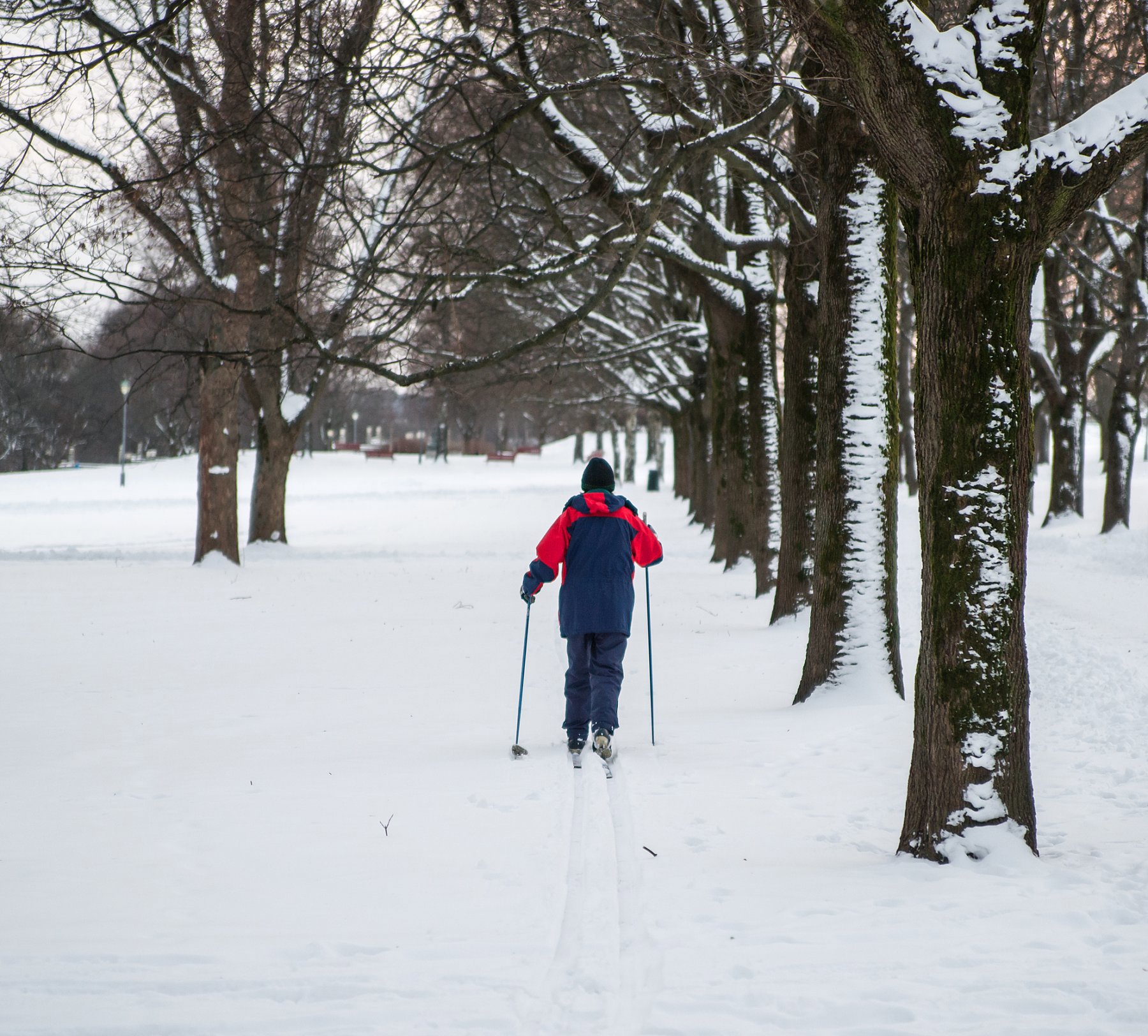 Skitur i Frognerparken