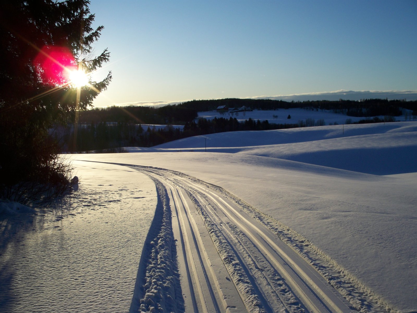Skitur i sola over dyrket mark