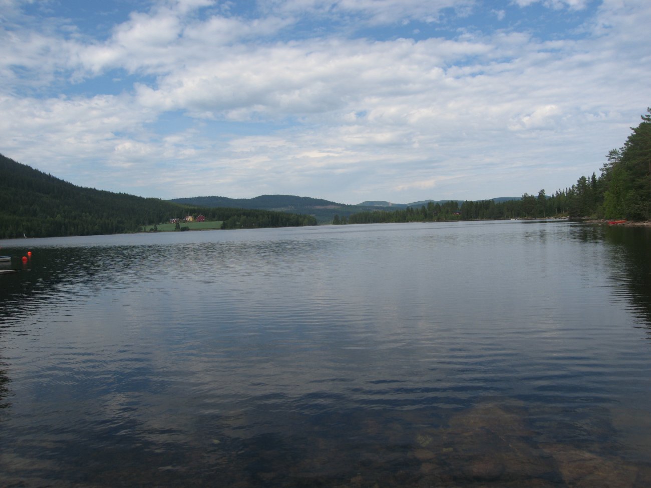 Skjellbreia v. Skjerva