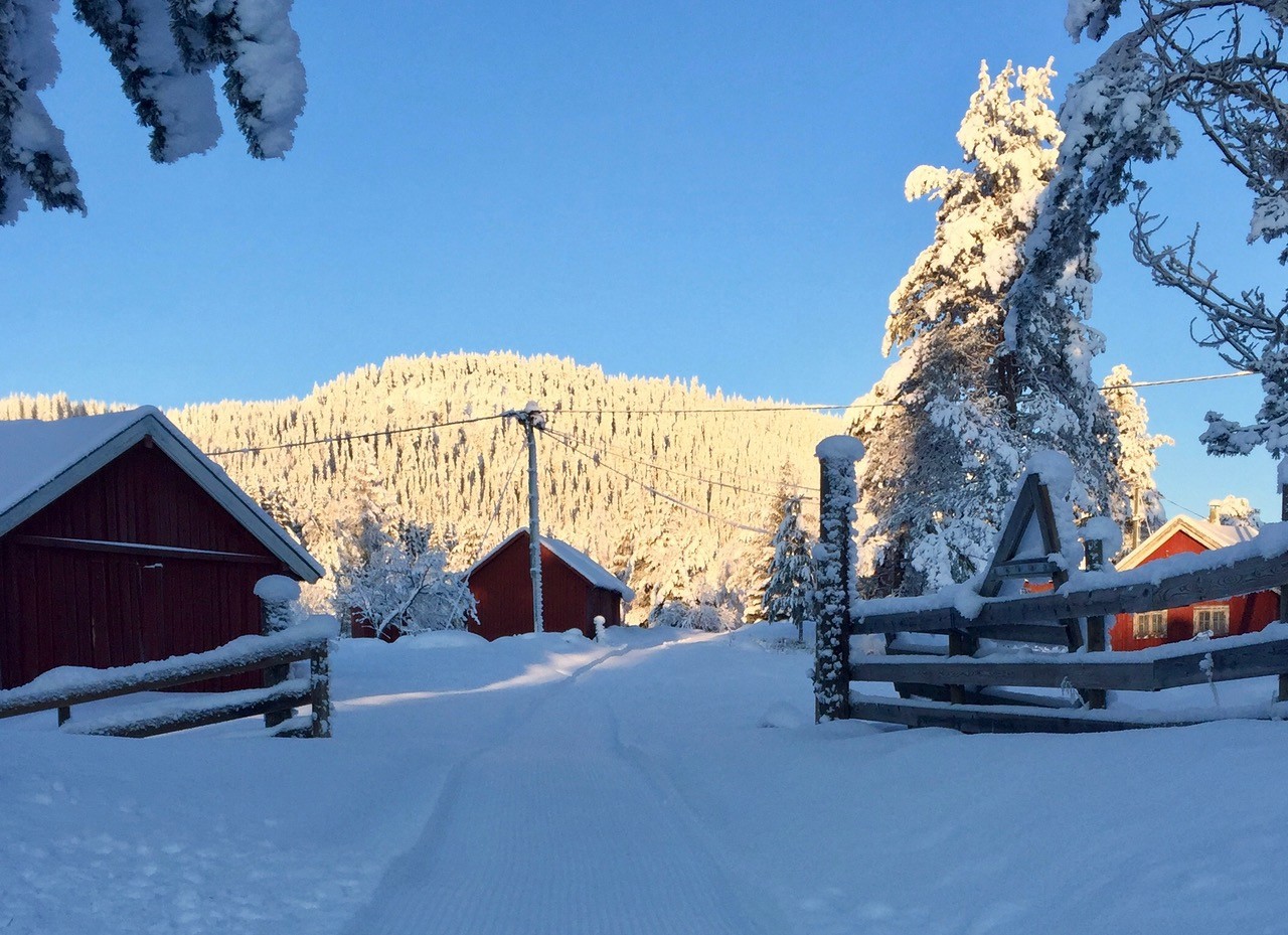Skjerva løypelags løype gjennom Skjervetråkket