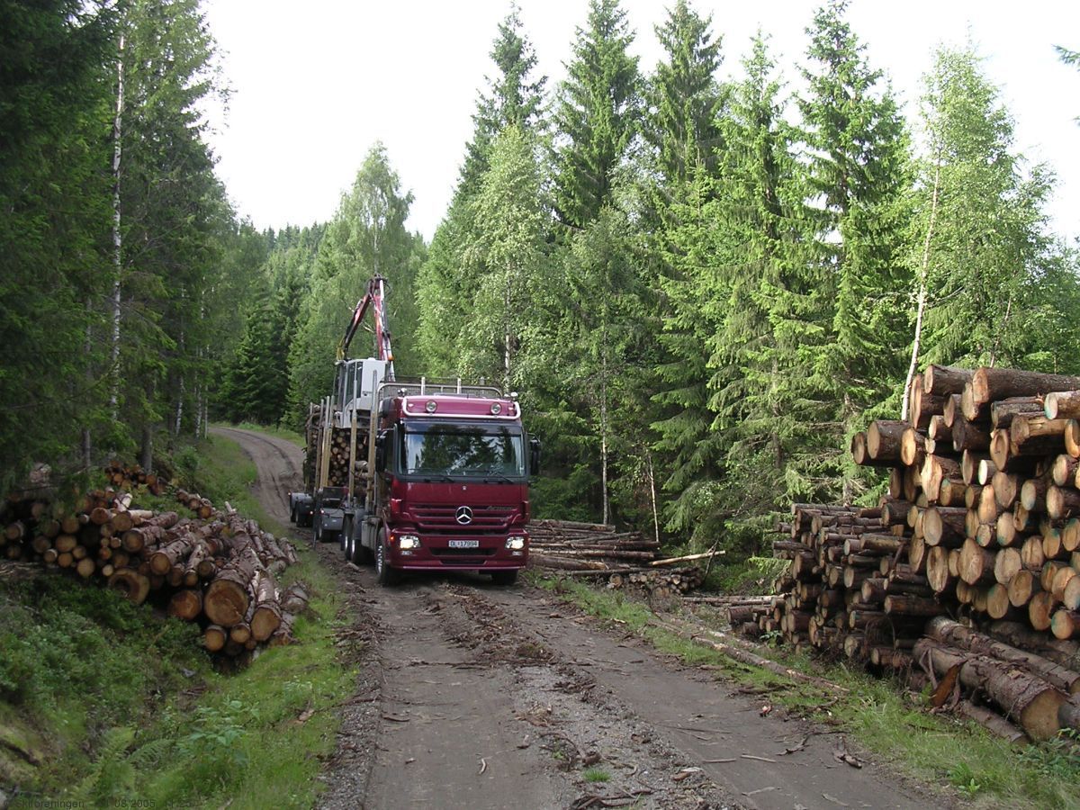 Skogsdrift ved Stormyra