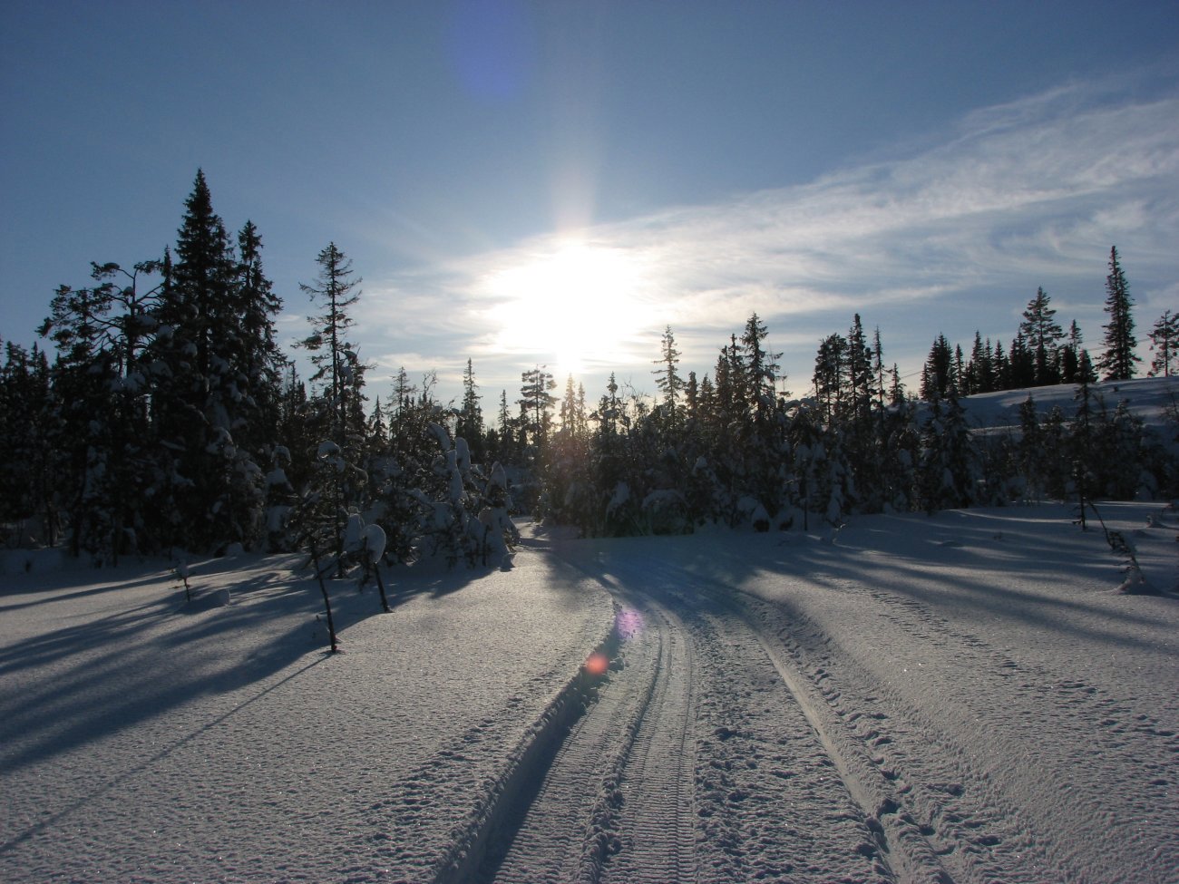 Skogsløype mellom Linkenvegen og Blokkhus