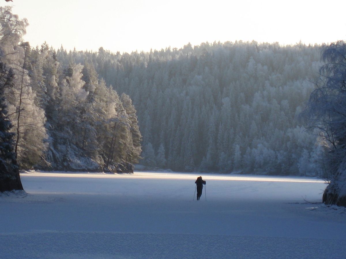 Skøyteløper i Knurra