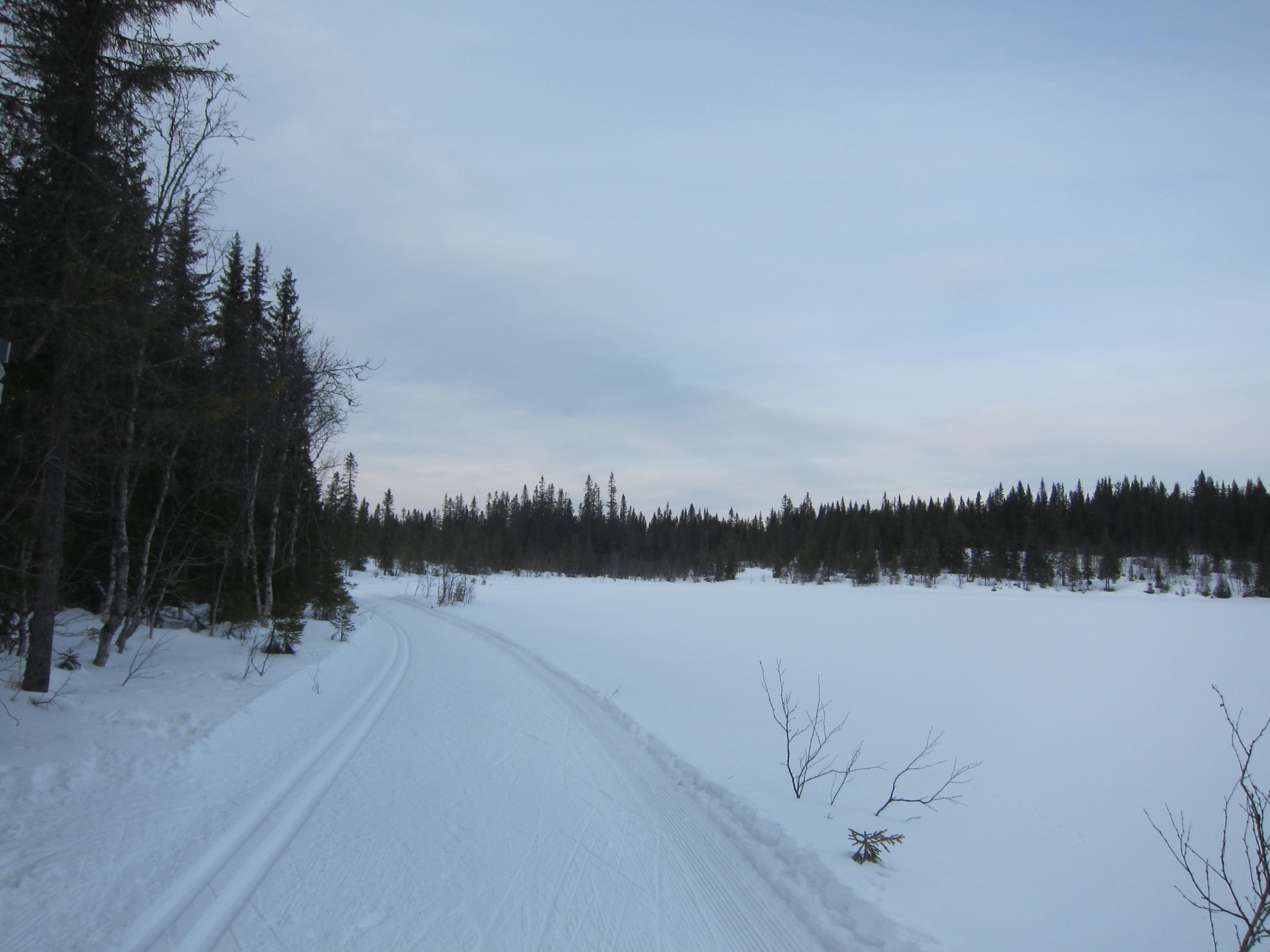 Skøyting og klassisk langs Koltjernet