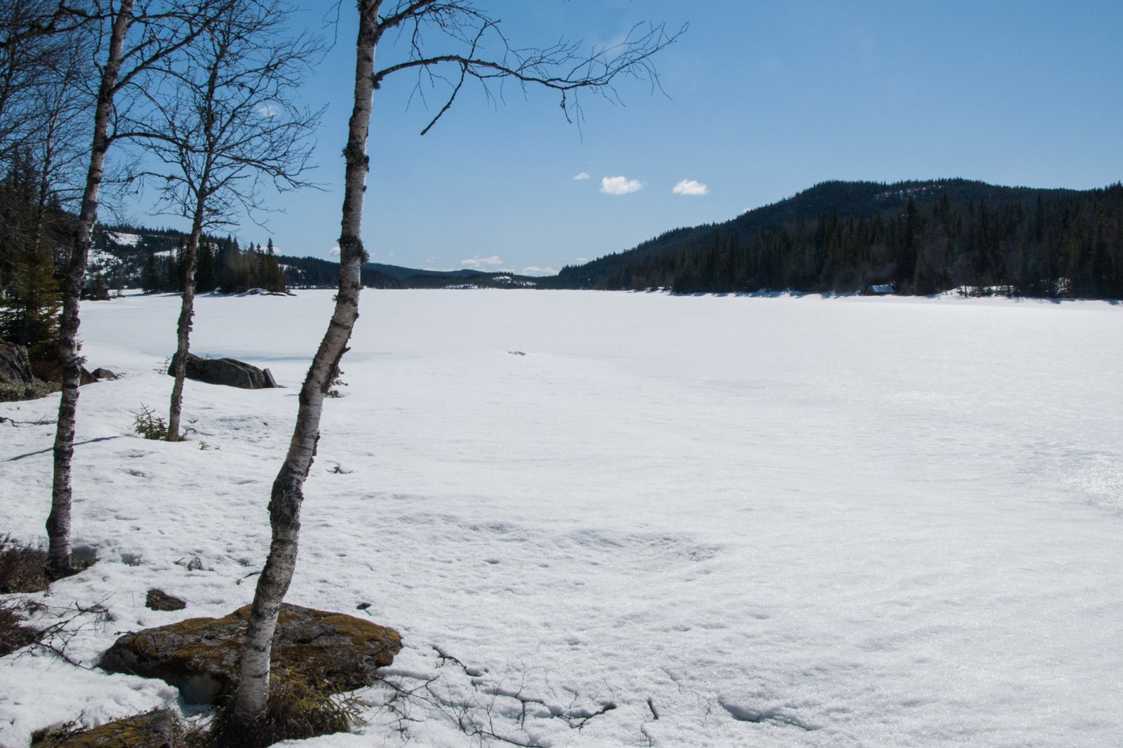 Skøyting på Store Svartungen