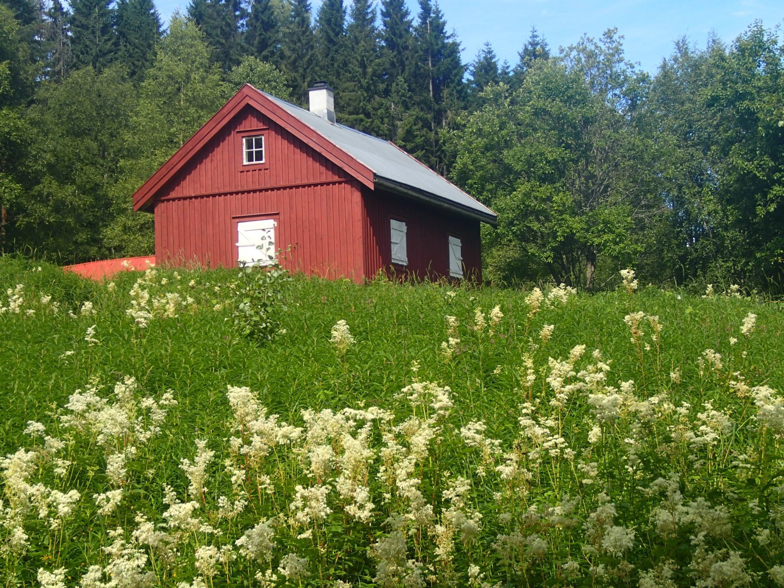 Skredderud i Lillomarka