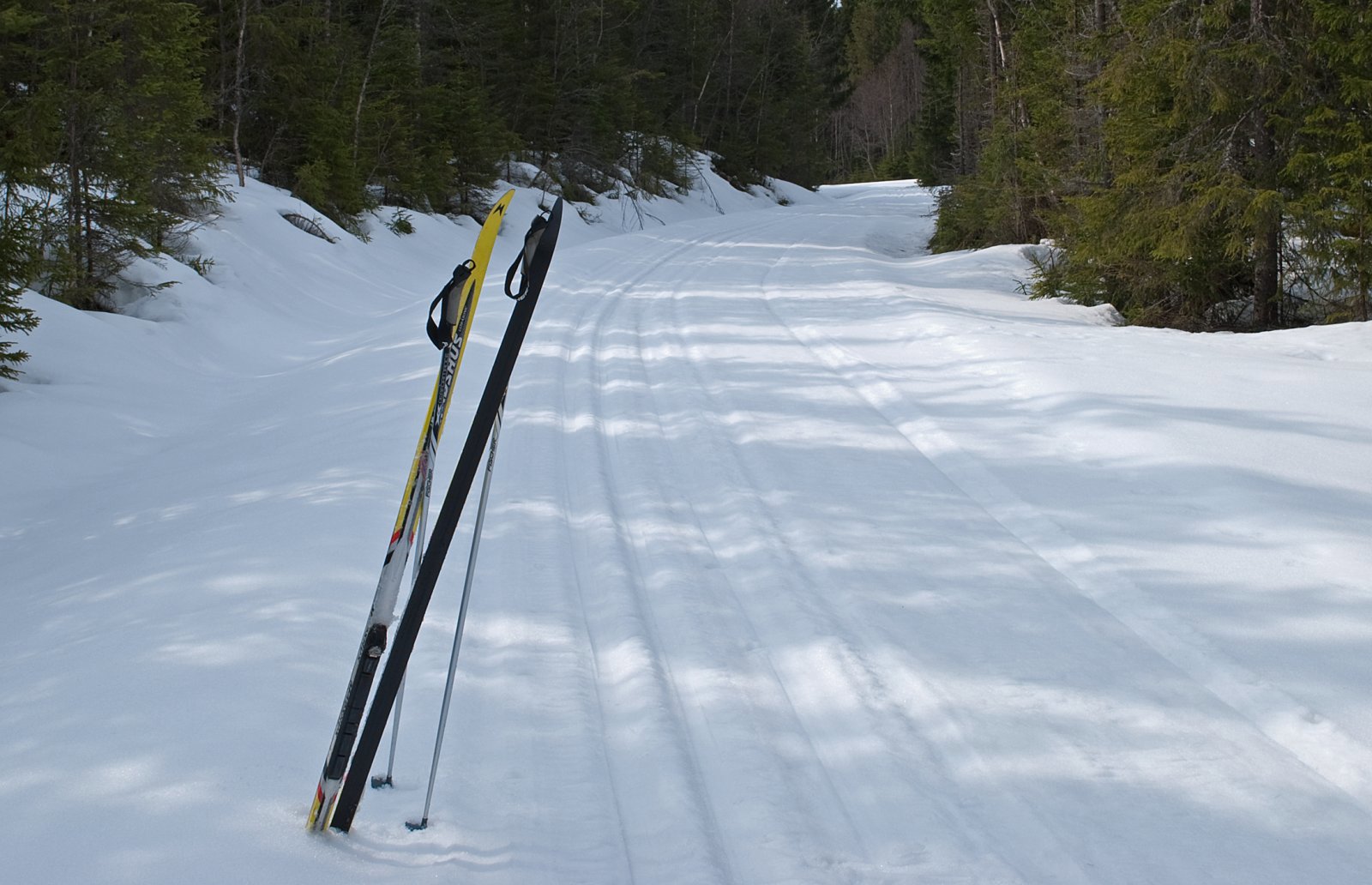 Skrukkelia i slutten av april