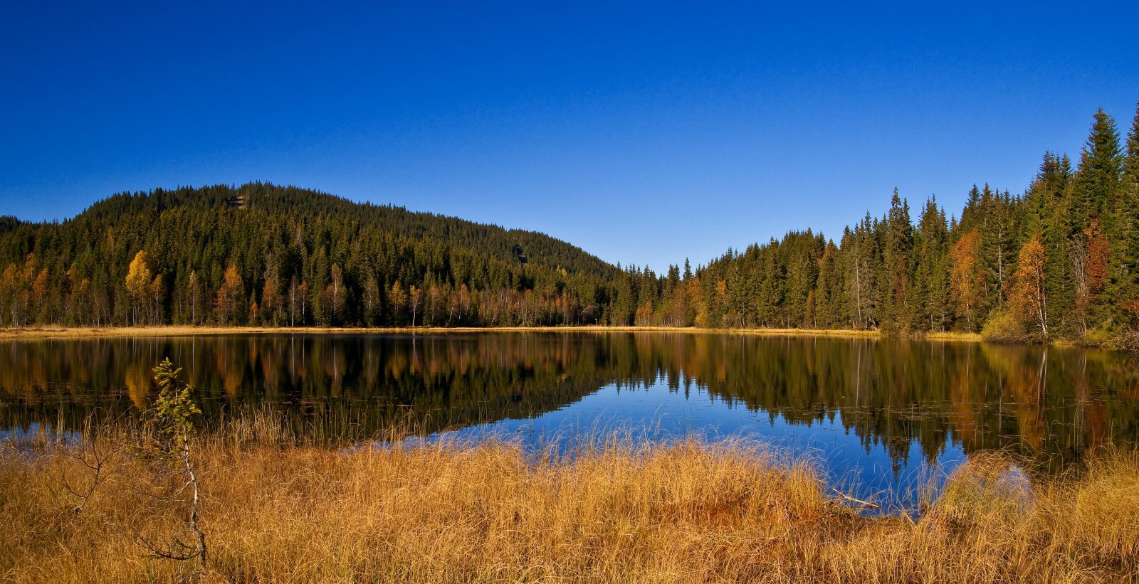 skyer over Trantjern