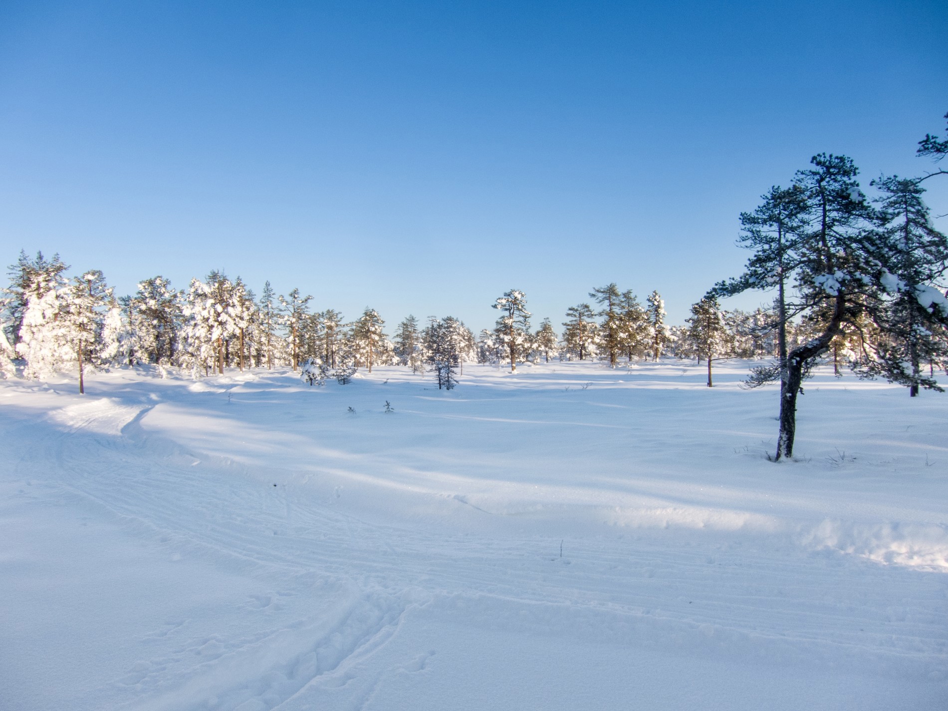 Skyfritt i Tverråsrunden
