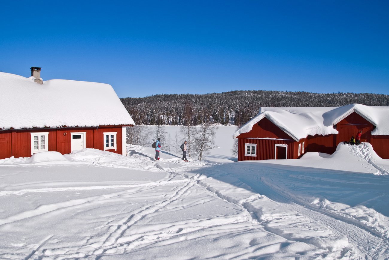 Skyfritt på Finnstad