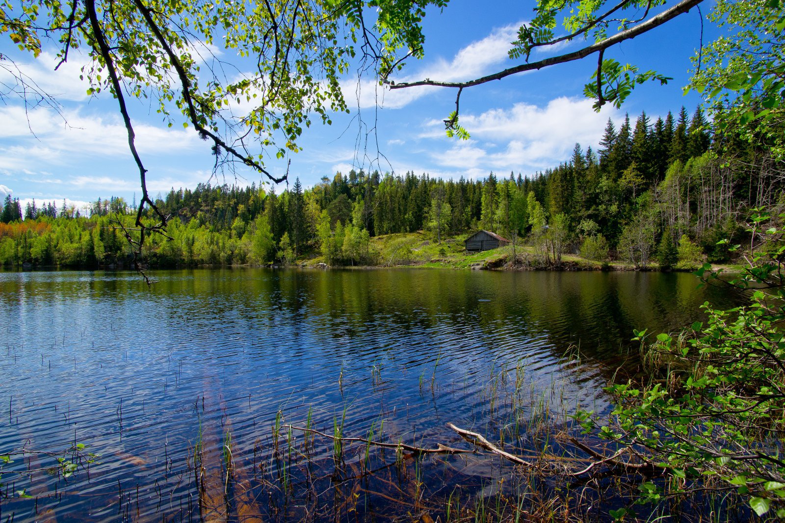 Slipp fargene fri - det er vår!