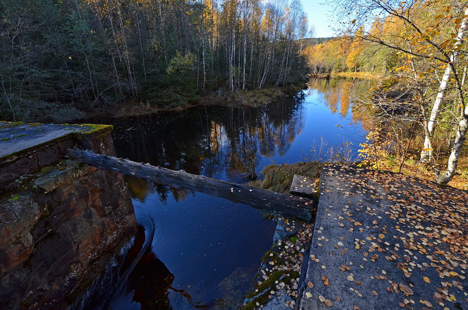 Sloradammen i Heggelielva: utsikt mot nedre del av dammen