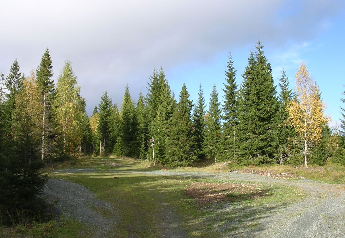Slutt på skogsbilveien nær Kampevaddammen