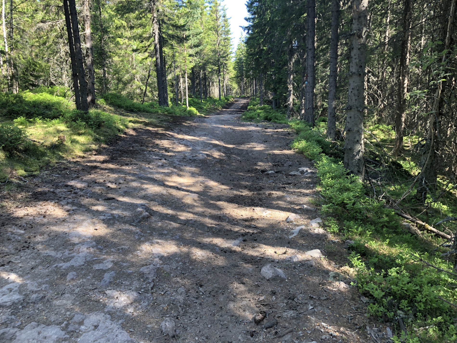 Slutten på trillestien og begynnelsen på Sørsetraveien