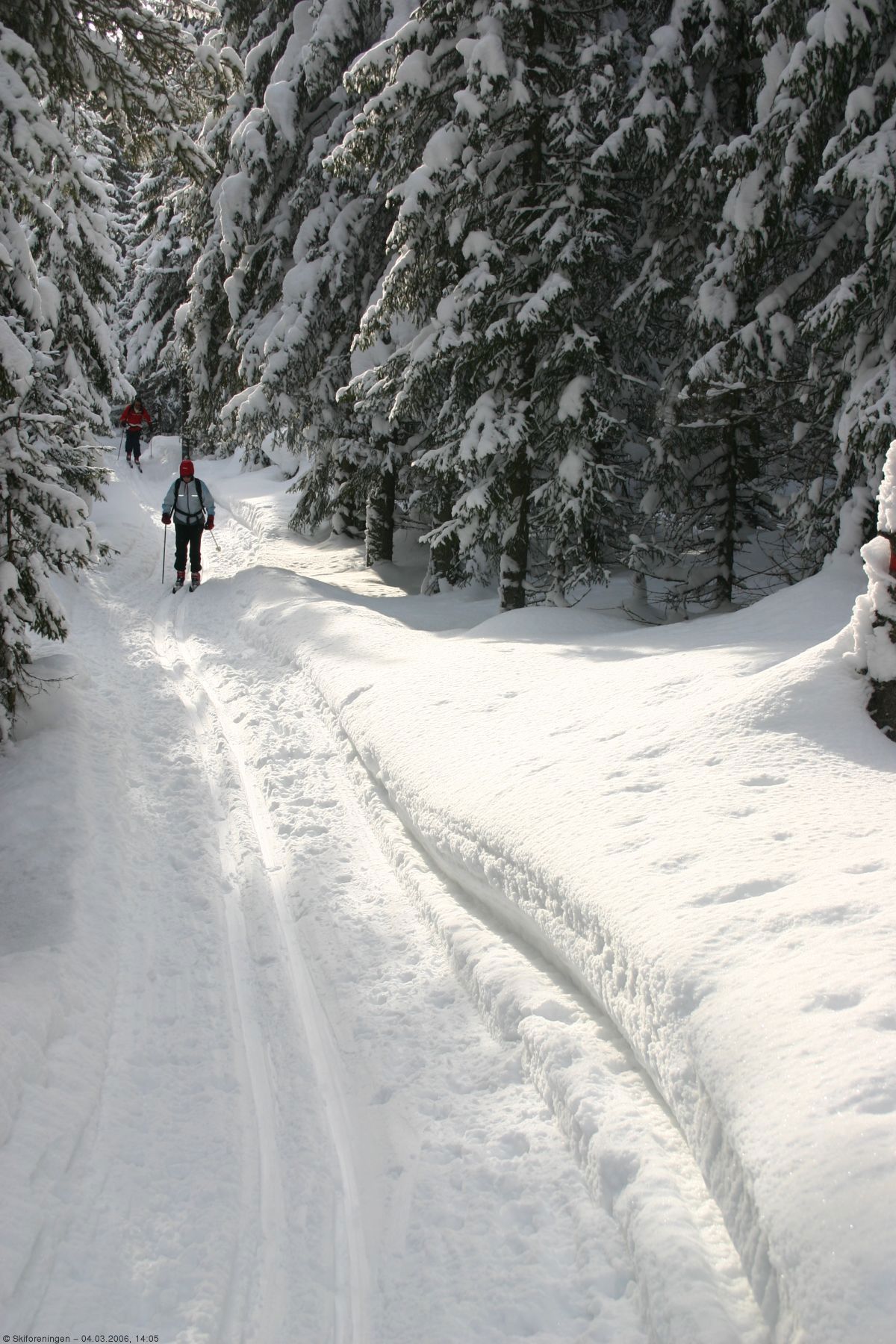 Smale spor i trolsk skog