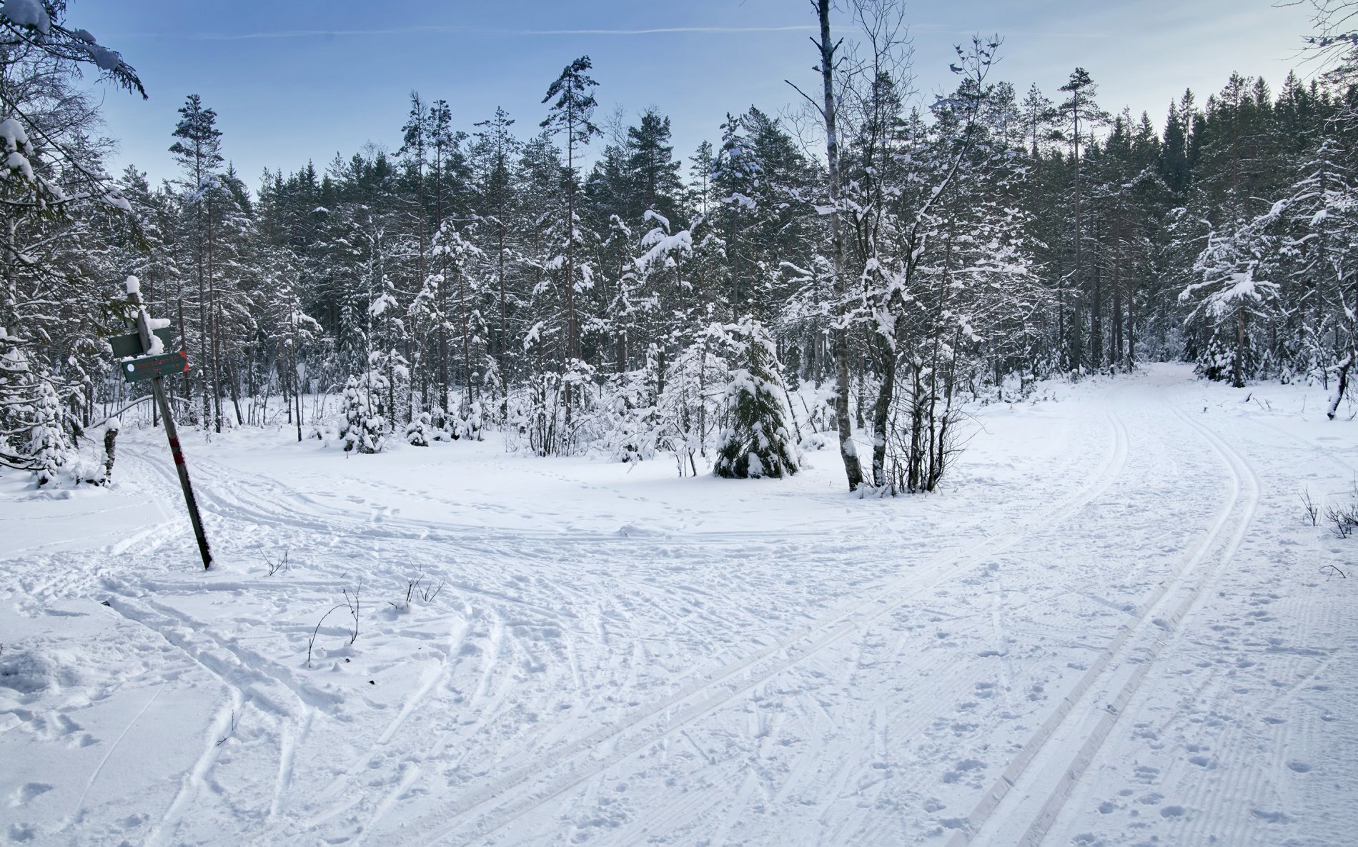 Snart kveld på Galemyr