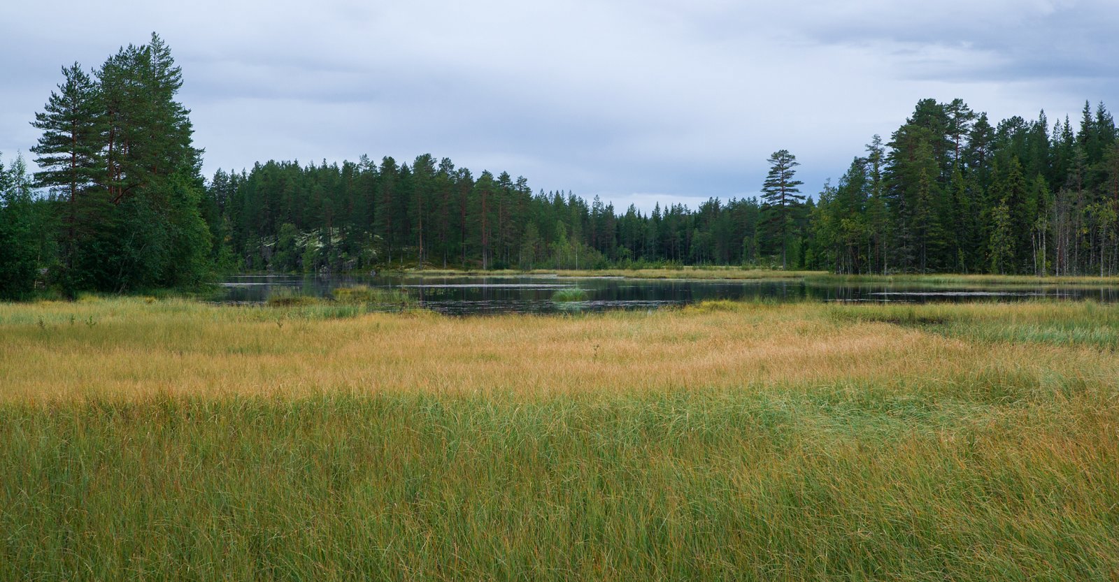 Snart natt ved Skjeggom