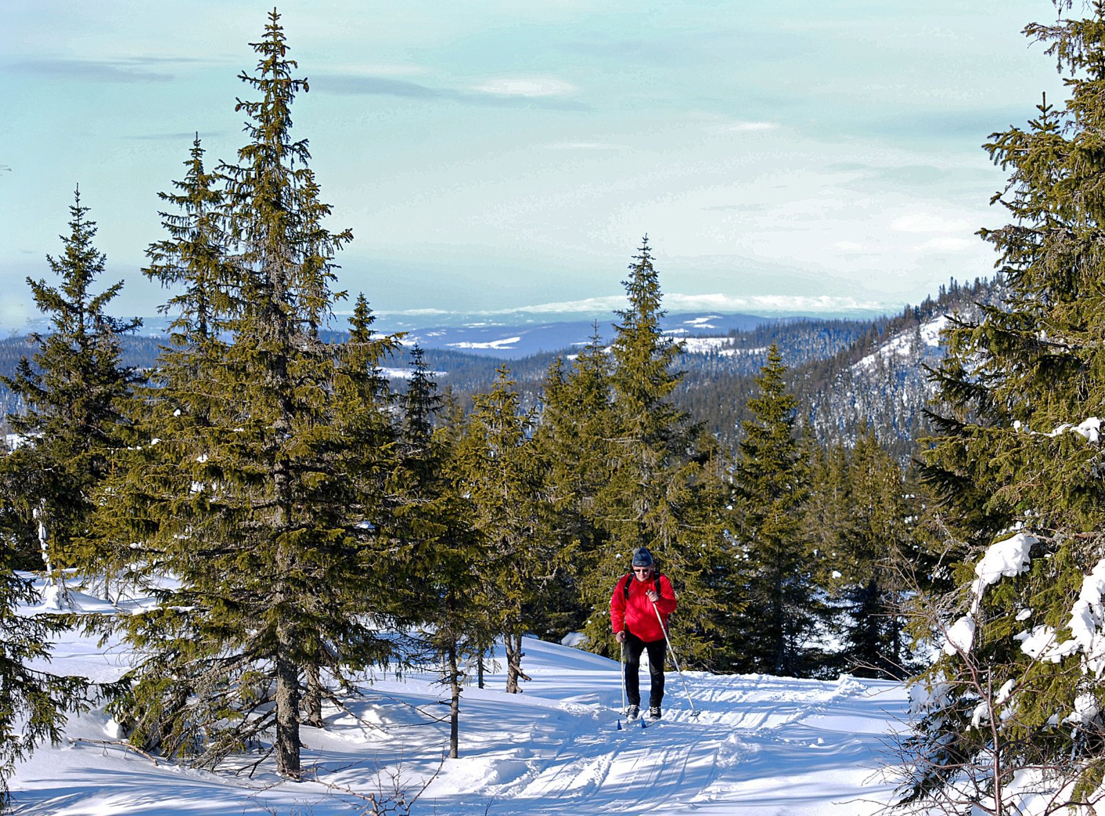 Snart på Fjellsjøkampen