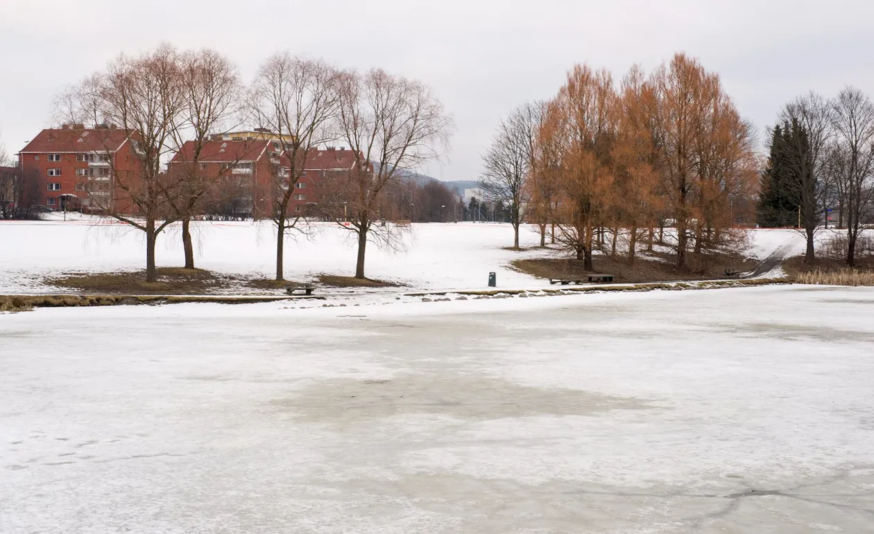 Snart vår? Snart vår?