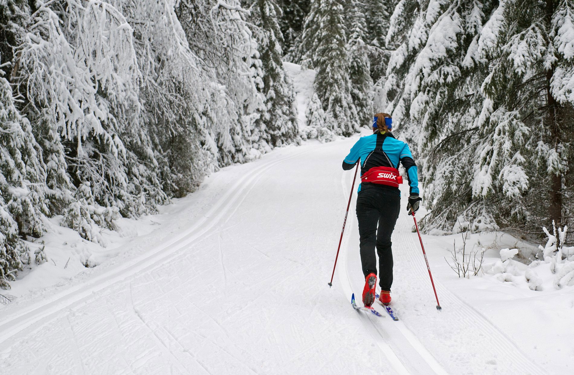 Snart ved Kampevaddammen