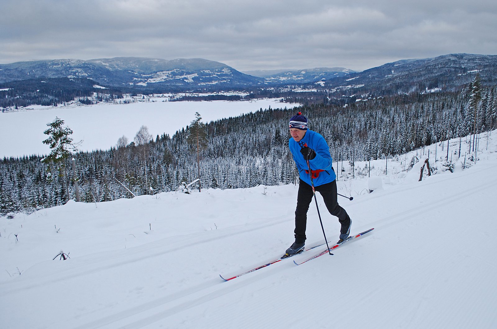 Snauhogst med fin utsikt
