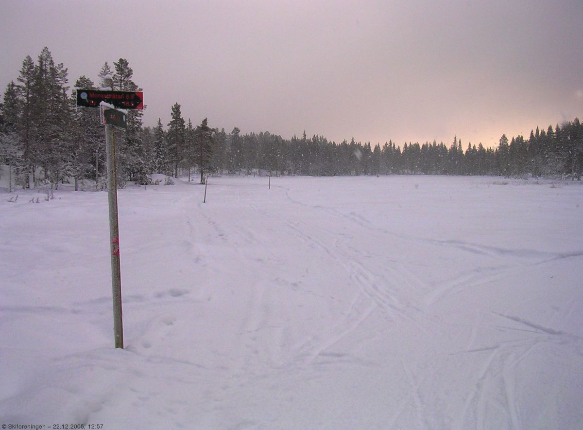 Snebyger over Stormyra