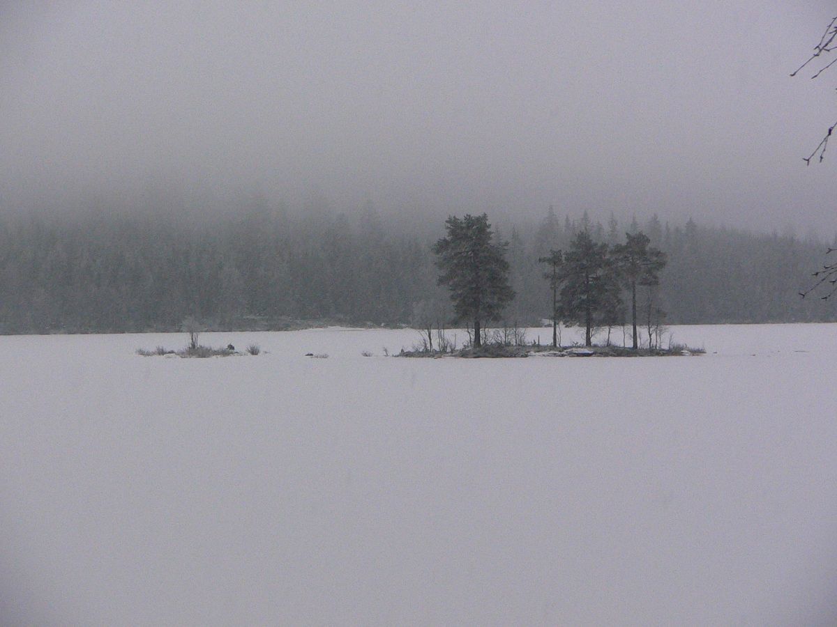 Snedrev over Fjellsjøen