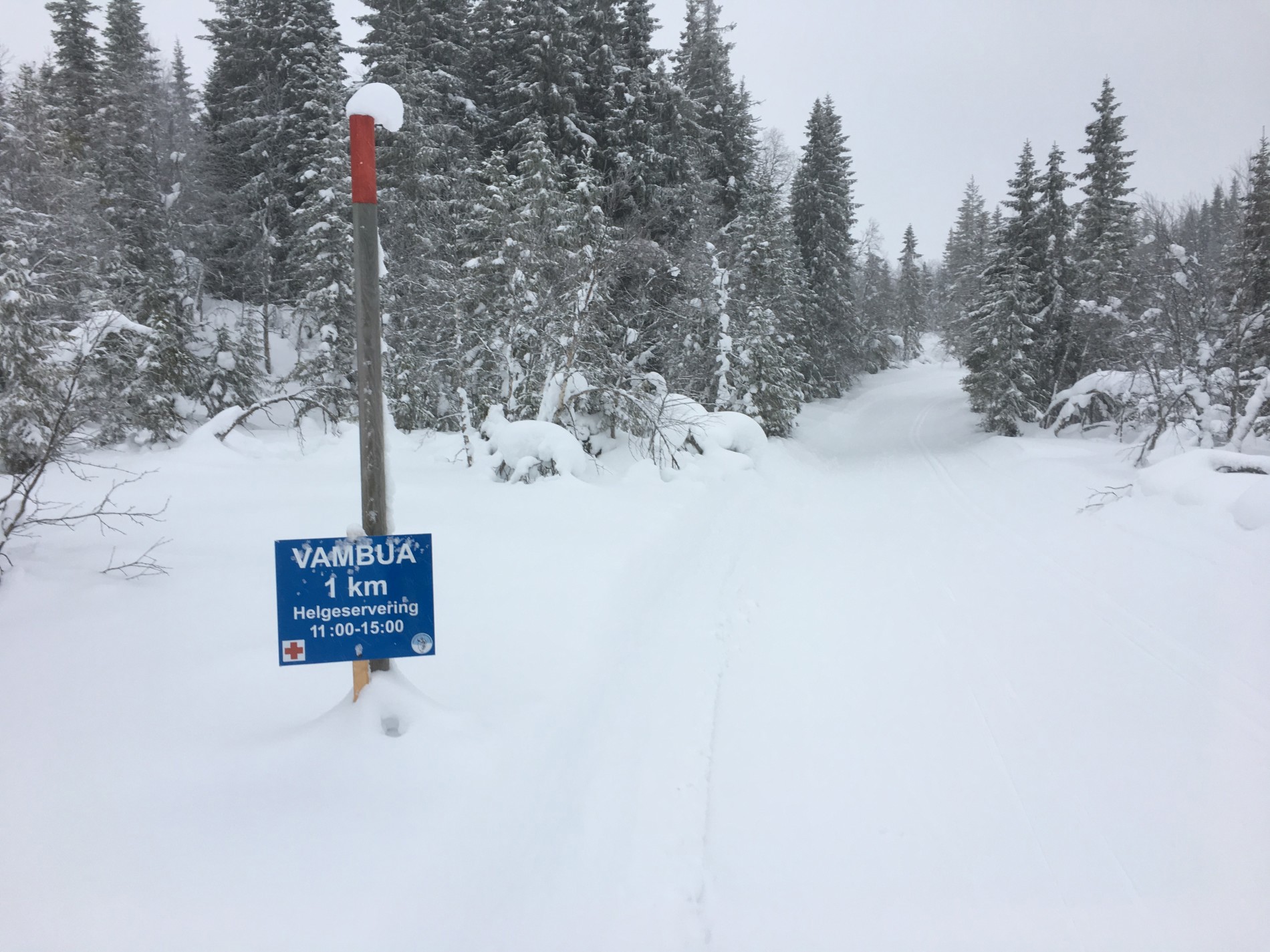 Snø og føyke i Treningsrunden