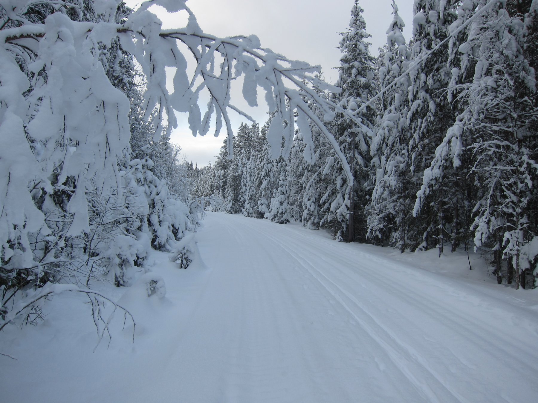 Snø på Valdresbanen