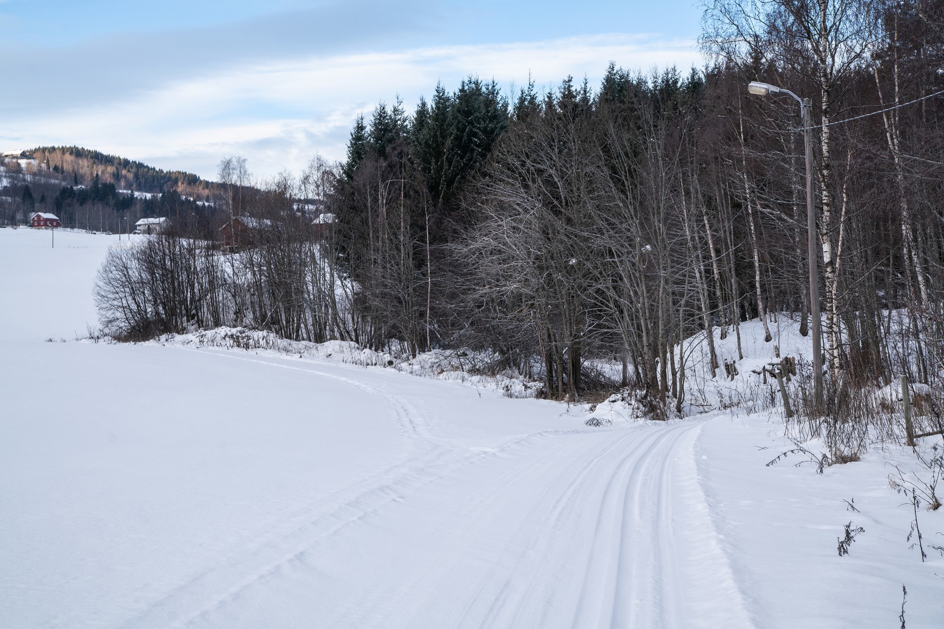 Snødryss i lysløypa