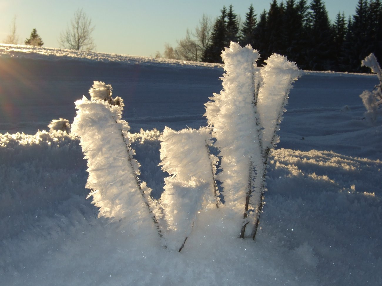 Snøkrystaller i bakken nedenfor Blivgodt