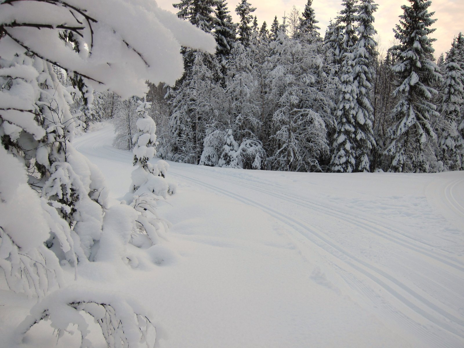 Snørikt ved Grønnsjøkoia