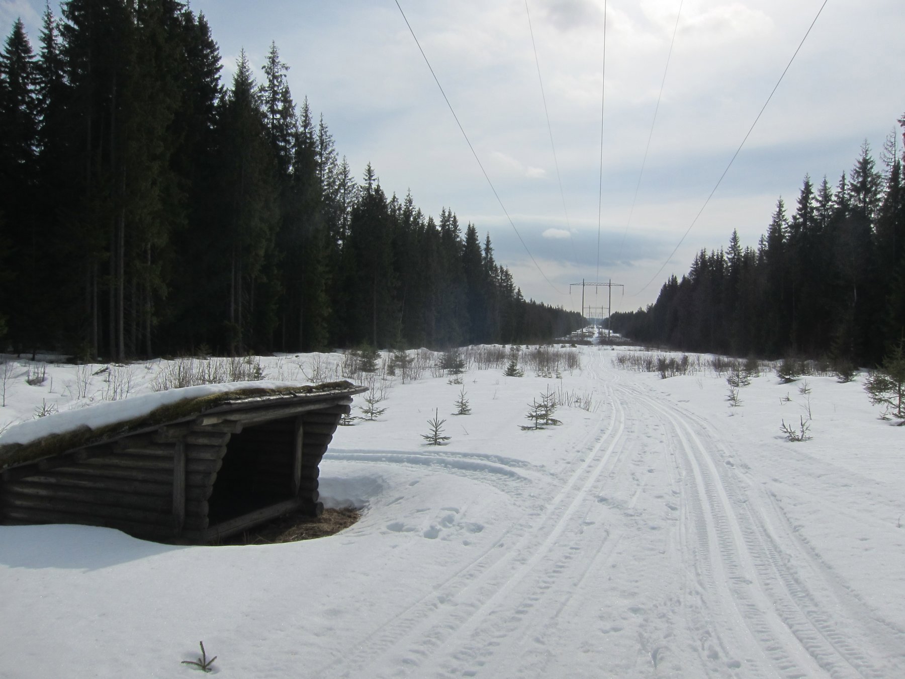 Snorrett mot sør fra Blili
