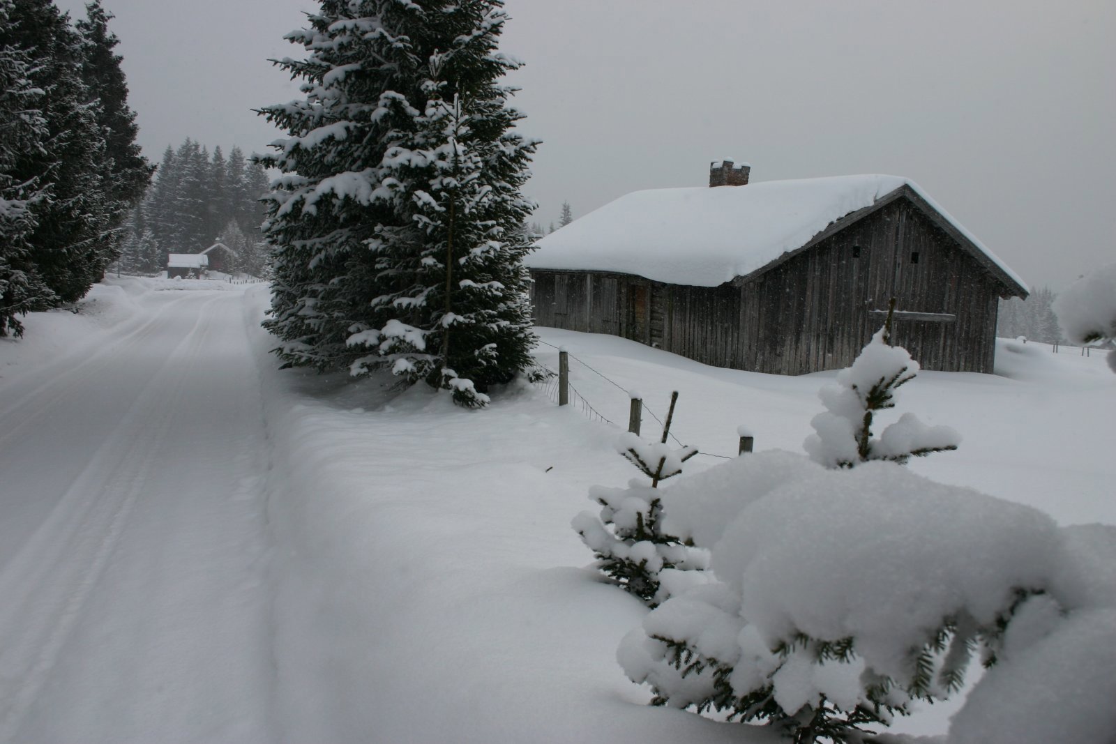 Snøtungt ved Dempesætra