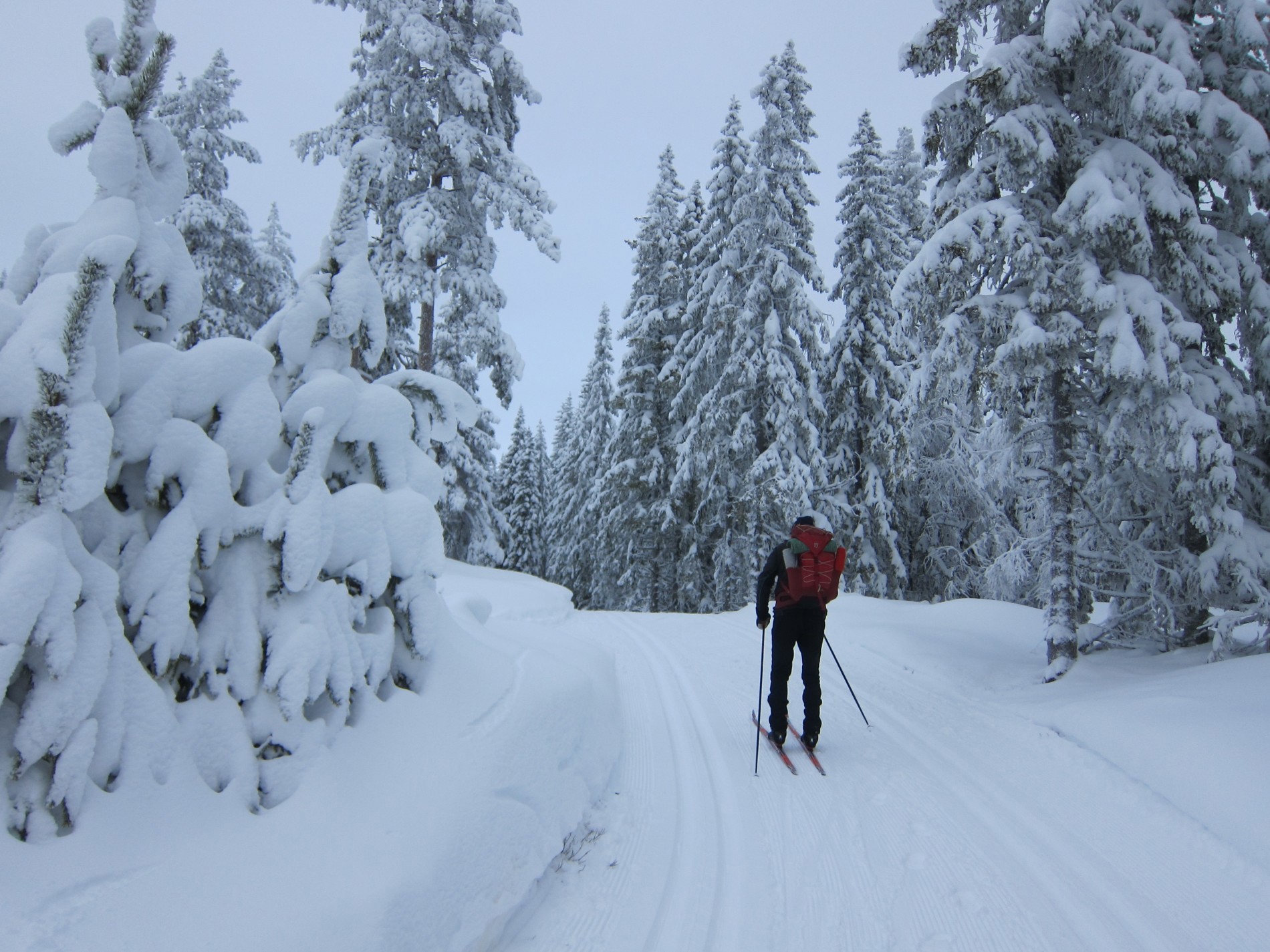 Snøtungt ved Rørmyra