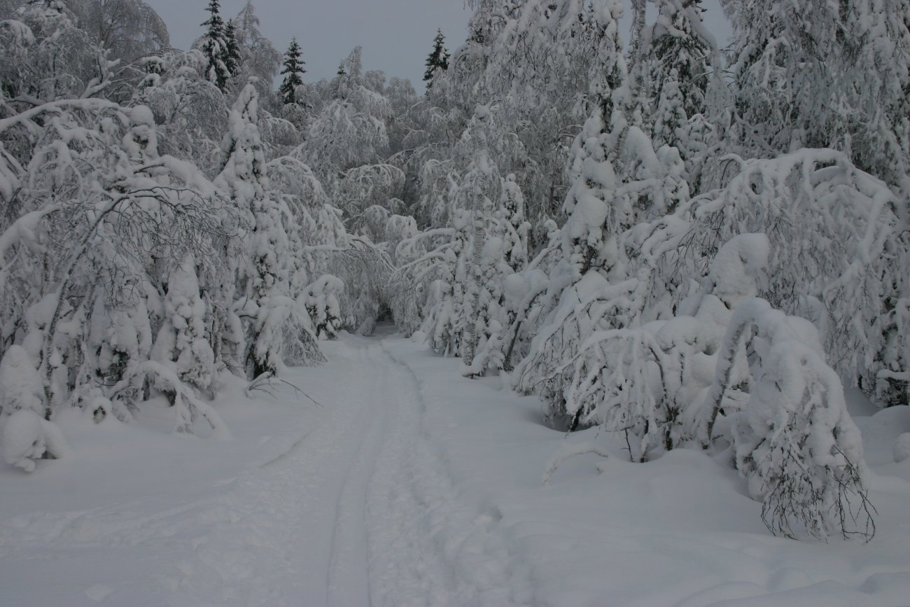 Snøtunnel mot Halssjøen