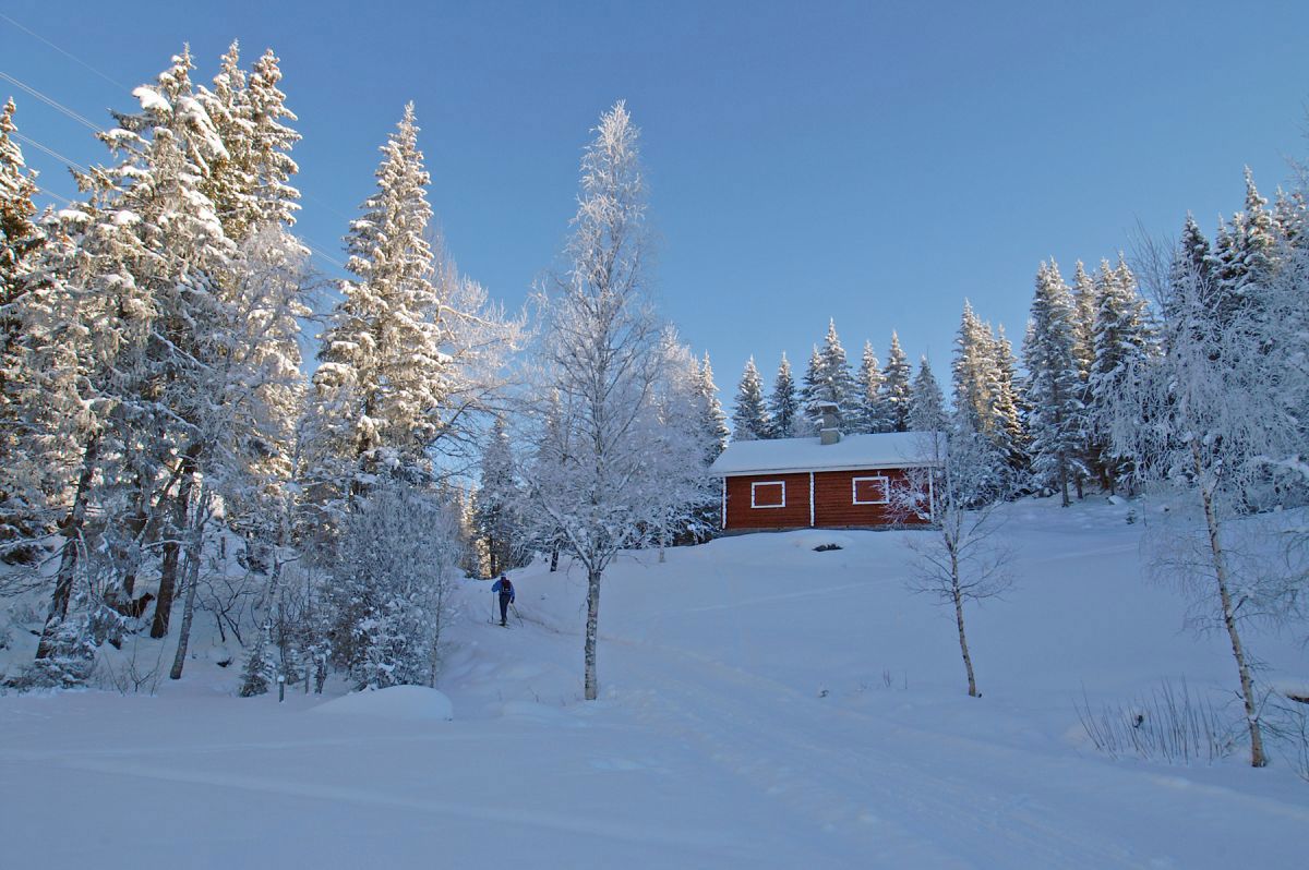 Sognsetra en flott vinterdag