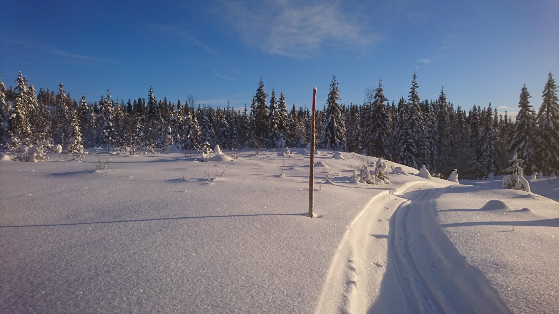 Sol i scooterløypa mellom Hakkim og Bakkholtjerna