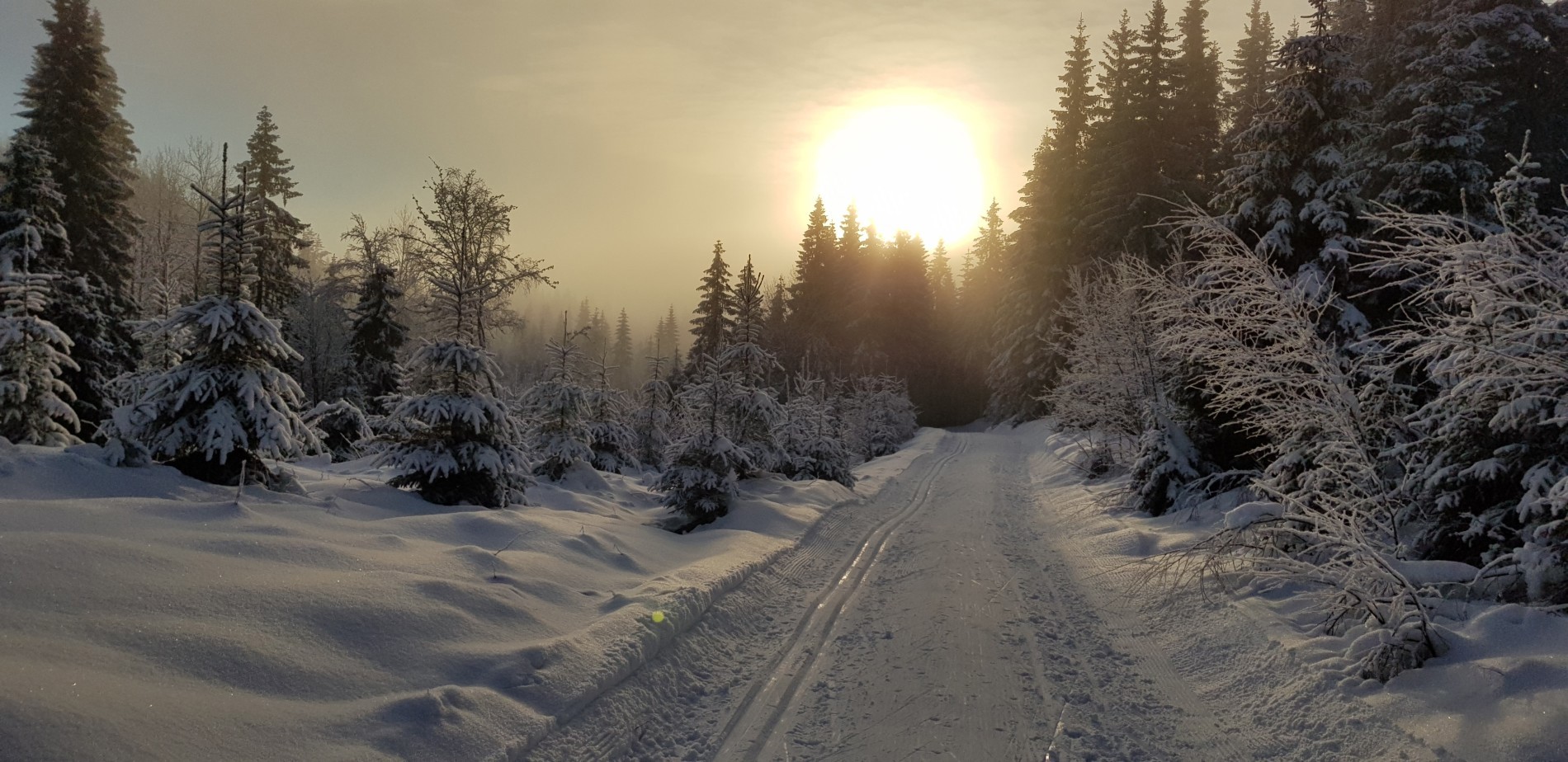 Sol og tåke om hverandre sør for Bønnerudtjern